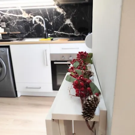 Elegant 2 Free Wifi And Netflix *